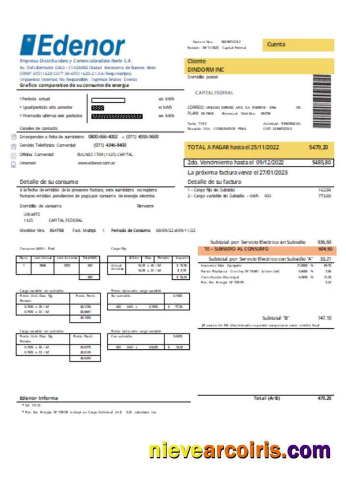 Edenor easy to fill utility business bill